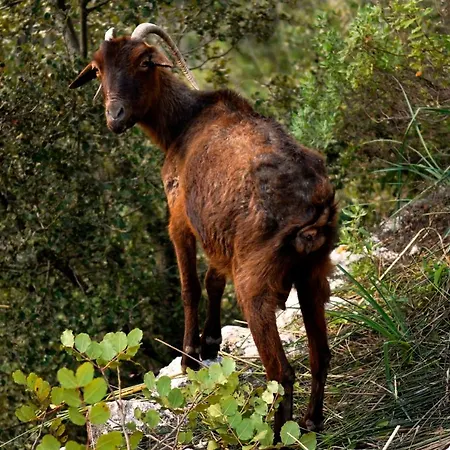 Natura Rural 3*