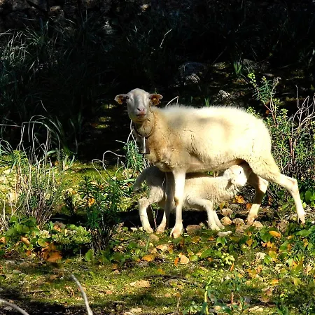 Natura Rural