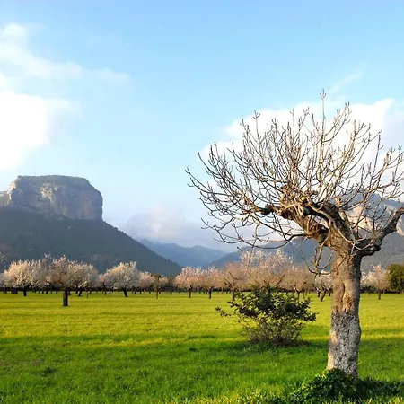 Natura Rural Отель Аларо